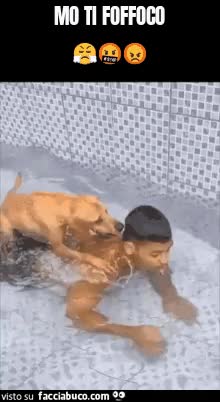 gif animata