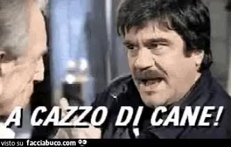 gif animata
