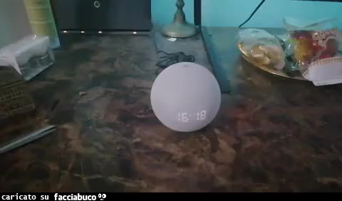 Gif Animata