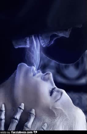 gif animata