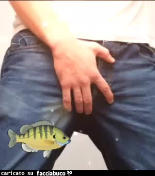 gif animata