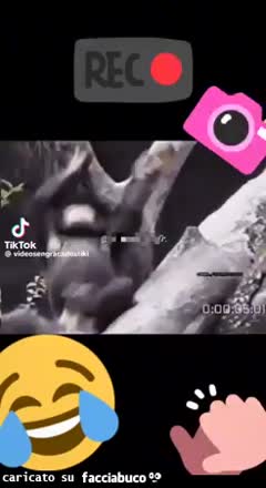 gif animata