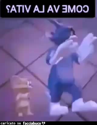 gif animata