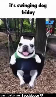 gif animata