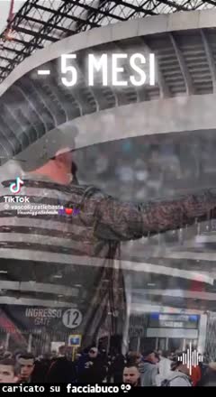 gif animata