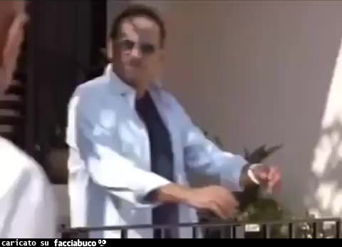 Gif Animata