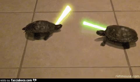 gif animata