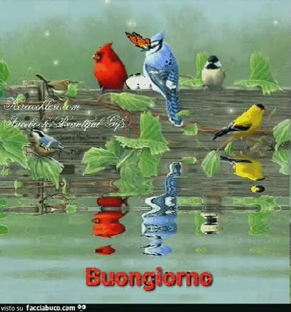 gif animata