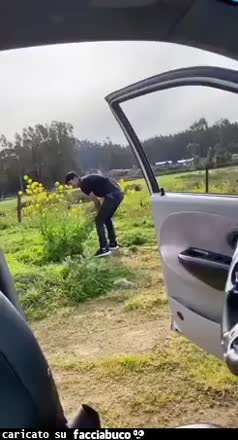 Gif Animata
