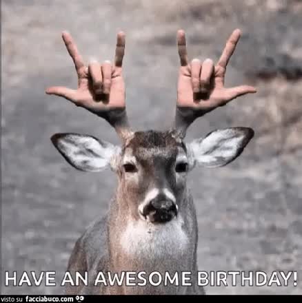 gif animata