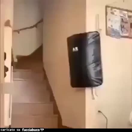 Gif Animata