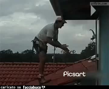 Gif Animata