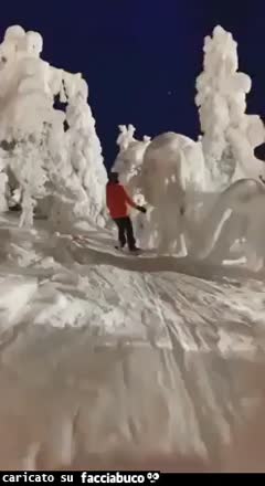 Video foresta di neve